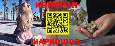гидропоника Пенза